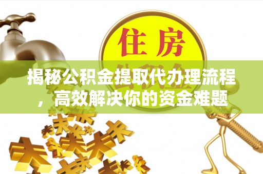海棠揭秘公积金提取代办理流程，高效解决你的资金难题