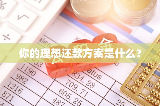海棠你的理想还款方案是什么？