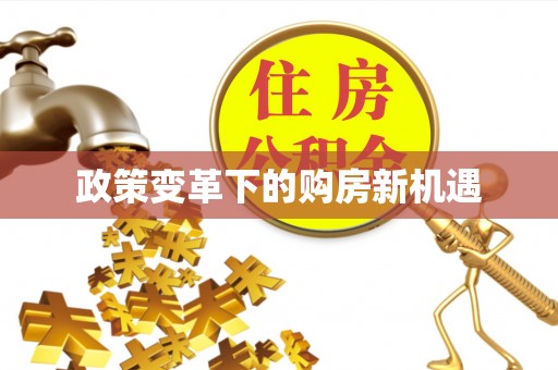 海棠政策变革下的购房新机遇
