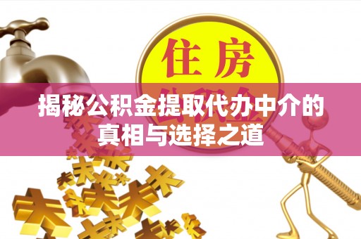 海棠揭秘公积金提取代办中介的真相与选择之道