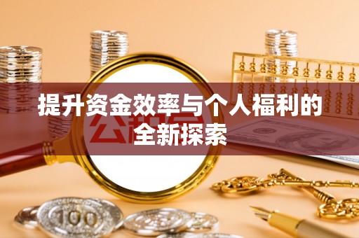 海棠提升资金效率与个人福利的全新探索