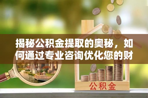 海棠揭秘公积金提取的奥秘，如何通过专业咨询优化您的财务规划