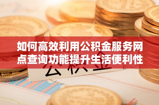 海棠如何高效利用公积金服务网点查询功能提升生活便利性