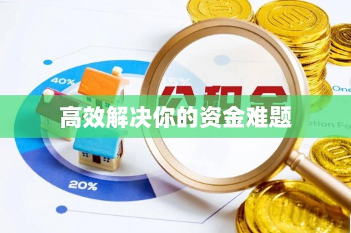 海棠高效解决你的资金难题