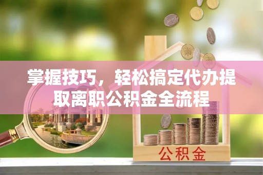 海棠掌握技巧，轻松搞定代办提取离职公积金全流程