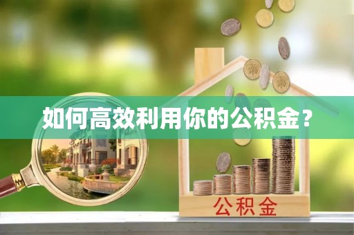 海棠如何高效利用你的公积金？