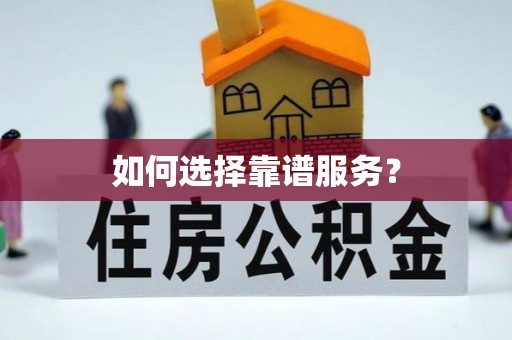 海棠如何选择靠谱服务？