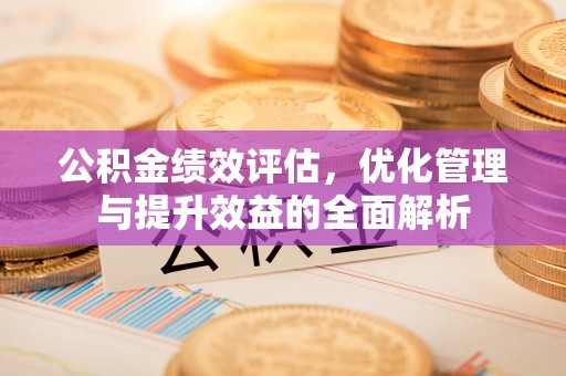 海棠公积金绩效评估，优化管理与提升效益的全面解析