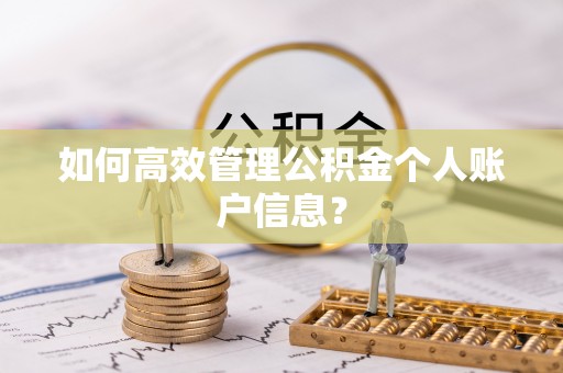 海棠如何高效管理公积金个人账户信息？