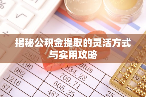 海棠揭秘公积金提取的灵活方式与实用攻略