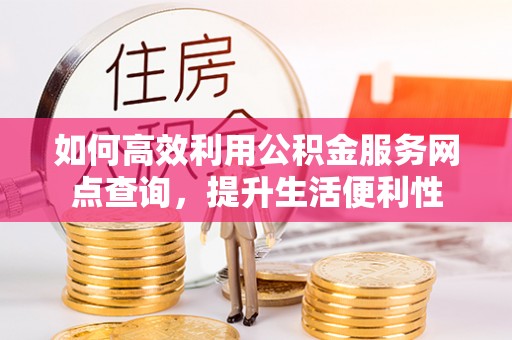 海棠如何高效利用公积金服务网点查询，提升生活便利性