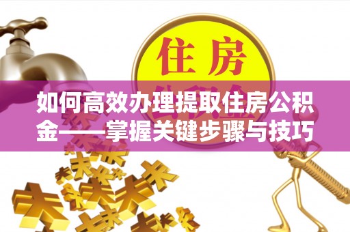 海棠如何高效办理提取住房公积金——掌握关键步骤与技巧
