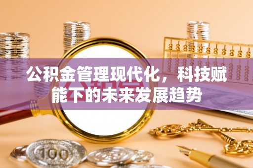 海棠公积金管理现代化，科技赋能下的未来发展趋势