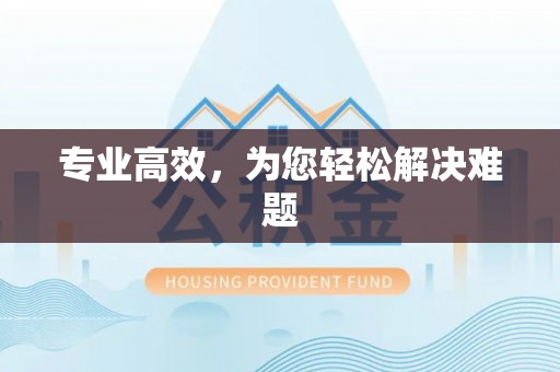 海棠专业高效，为您轻松解决难题