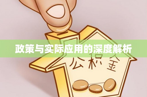 海棠政策与实际应用的深度解析