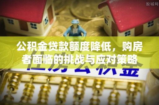 海棠公积金贷款额度降低，购房者面临的挑战与应对策略