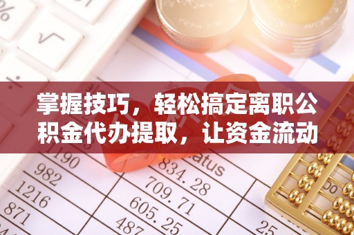 海棠掌握技巧，轻松搞定离职公积金代办提取，让资金流动更便捷