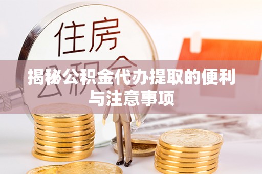海棠揭秘公积金代办提取的便利与注意事项