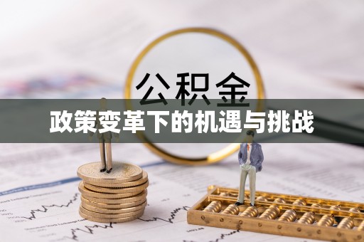 海棠政策变革下的机遇与挑战