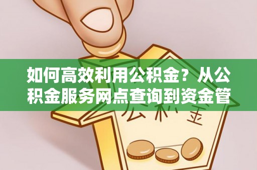 海棠如何高效利用公积金？从公积金服务网点查询到资金管理全攻略