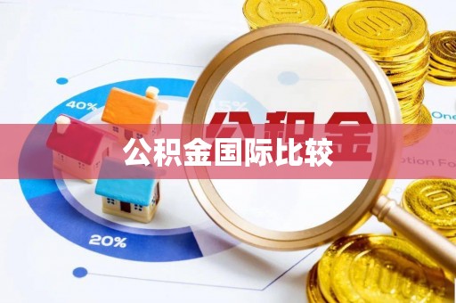 海棠公积金国际比较