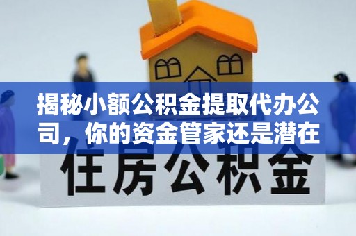 海棠揭秘小额公积金提取代办公司，你的资金管家还是潜在风险？