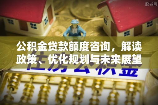 海棠公积金贷款额度咨询，解读政策、优化规划与未来展望