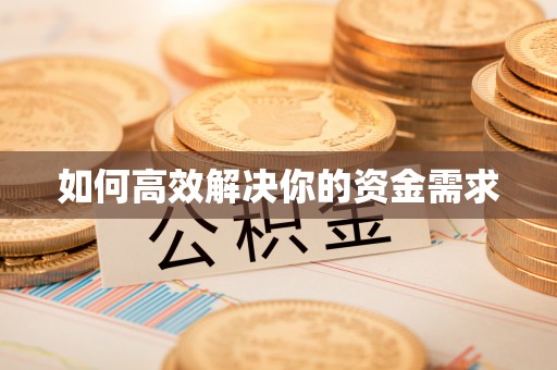海棠如何高效解决你的资金需求