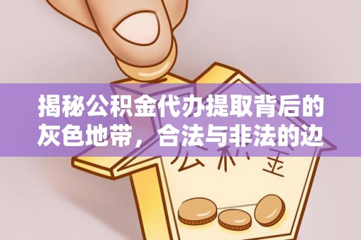 海棠揭秘公积金代办提取背后的灰色地带，合法与非法的边界