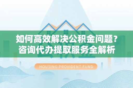 海棠如何高效解决公积金问题？咨询代办提取服务全解析
