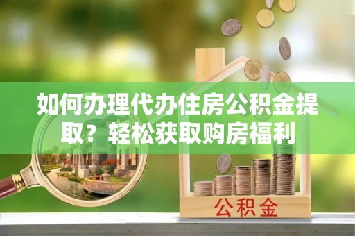 海棠如何办理代办住房公积金提取？轻松获取购房福利