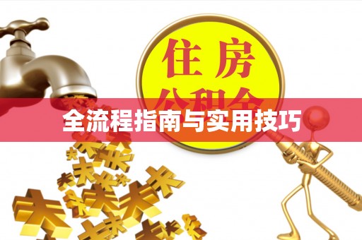 海棠全流程指南与实用技巧