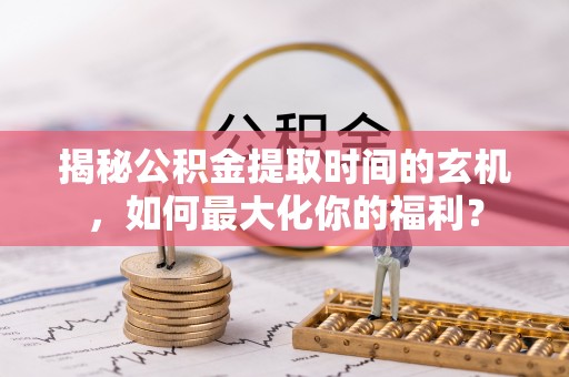 海棠揭秘公积金提取时间的玄机，如何最大化你的福利？