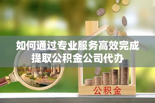 海棠如何通过专业服务高效完成提取公积金公司代办