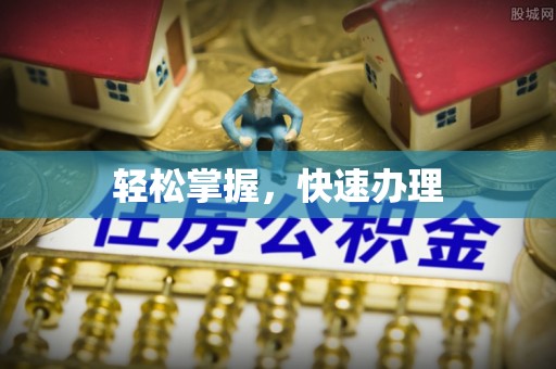 海棠轻松掌握，快速办理