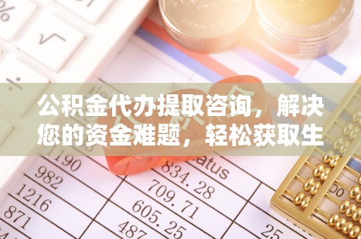 海棠公积金代办提取咨询，解决您的资金难题，轻松获取生活助力