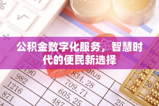 海棠公积金数字化服务，智慧时代的便民新选择