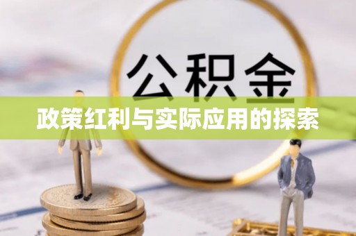 海棠政策红利与实际应用的探索
