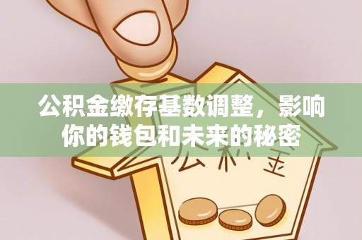 海棠公积金缴存基数调整，影响你的钱包和未来的秘密