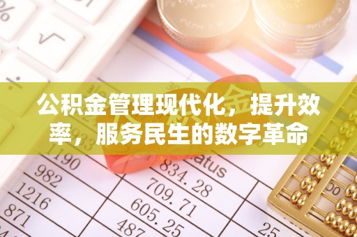 海棠公积金管理现代化，提升效率，服务民生的数字革命
