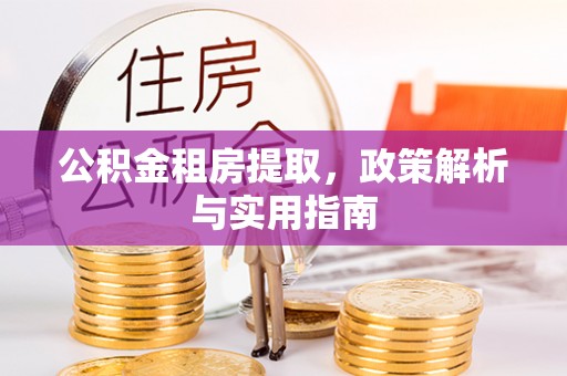 海棠公积金租房提取，政策解析与实用指南