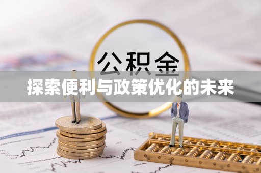 海棠探索便利与政策优化的未来
