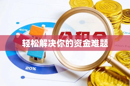 海棠轻松解决你的资金难题