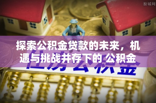 海棠探索公积金贷款的未来，机遇与挑战并存下的 公积金贷款风险防控
