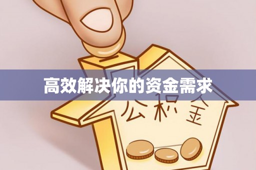 海棠高效解决你的资金需求