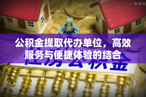 海棠公积金提取代办单位，高效服务与便捷体验的结合