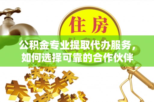 海棠公积金专业提取代办服务，如何选择可靠的合作伙伴
