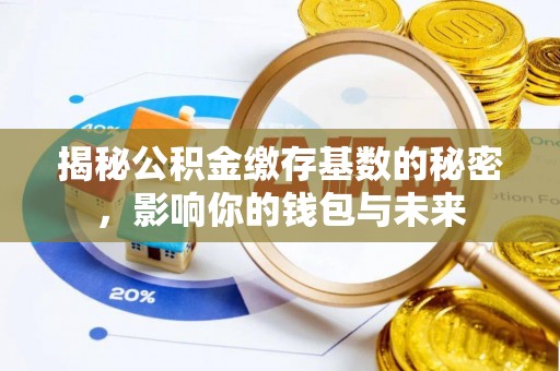 海棠揭秘公积金缴存基数的秘密，影响你的钱包与未来