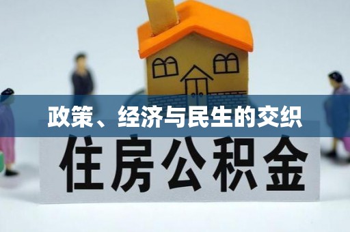 海棠政策、经济与民生的交织