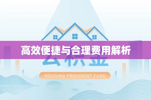 海棠高效便捷与合理费用解析